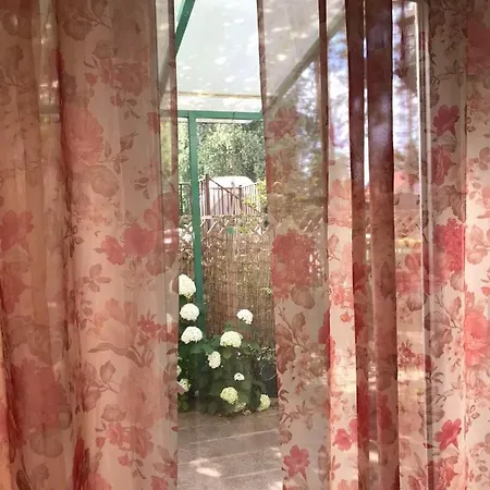 Eco Guest house *